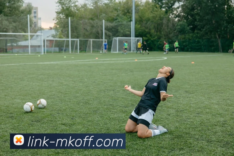 MK官网直连APP 体育赛事宣传图